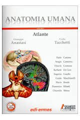 Anatoma umana atlante usato  Spedito ovunque in Italia 