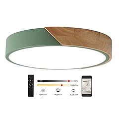 Ghiycotdl led deckenleuchte gebraucht kaufen  Wird an jeden Ort in Deutschland