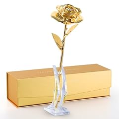 Eco space 24k for sale  Delivered anywhere in USA 