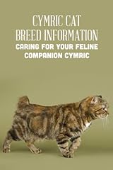 Cymric cat breed for sale  Delivered anywhere in UK