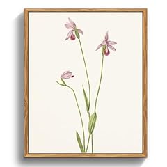 Crmotu botanical framed for sale  Delivered anywhere in USA 