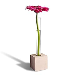 Tuuters reagenzglas vase gebraucht kaufen  Wird an jeden Ort in Deutschland