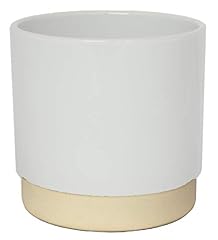 Ivyline vaso per usato  Spedito ovunque in Italia 