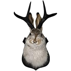 Pahayu jackalope taxidermy for sale  Delivered anywhere in USA 