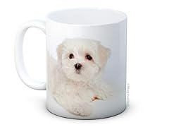 Maltese terrier dog for sale  Delivered anywhere in UK