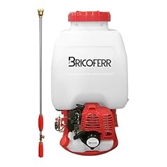 Bricoferr bfg8519 pulvérisate d'occasion  Livré partout en France