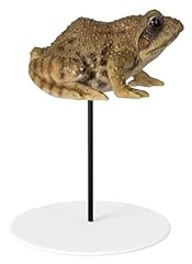 Vivid arts frog for sale  Delivered anywhere in Ireland