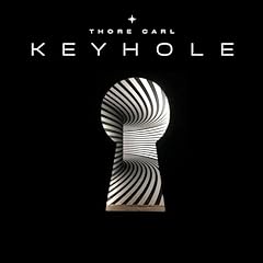 Keyhole for sale  Delivered anywhere in UK