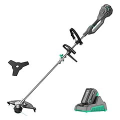 Litheli 40v cordless for sale  Delivered anywhere in USA 