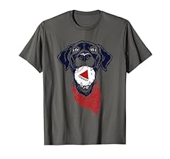Fenway dog shirt for sale  Delivered anywhere in USA 