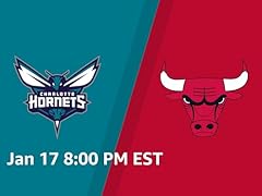 Hornets bulls for sale  Delivered anywhere in USA 