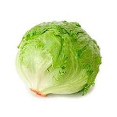 Salade iceberg unité d'occasion  Livré partout en France