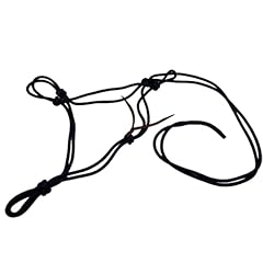 Parelli horseman strong for sale  Delivered anywhere in USA 