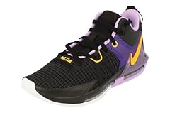 Nike men lebron for sale  Delivered anywhere in USA 