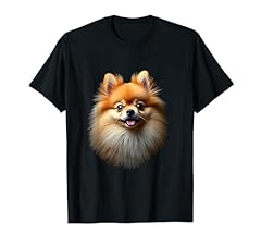 Black pomeranian dog for sale  Delivered anywhere in USA 