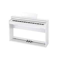 Casio s450 celviano usato  Spedito ovunque in Italia 