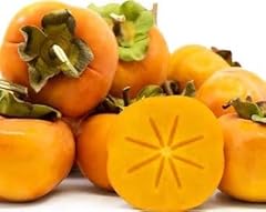 9eztropical fuyu asian for sale  Delivered anywhere in USA 