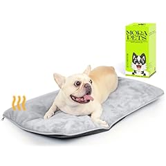 Mora pets dog for sale  Delivered anywhere in USA 