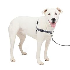 Petsafe easy walk for sale  Delivered anywhere in USA 