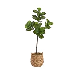 Kate laurel fidmont for sale  Delivered anywhere in USA 