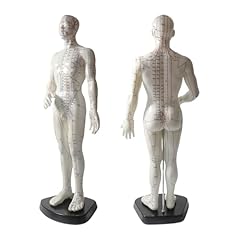 Plabnk clear human for sale  Delivered anywhere in UK