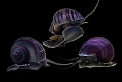 Swimming creatures mystery for sale  Delivered anywhere in USA 