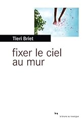 Fixer ciel mur d'occasion  Livré partout en France
