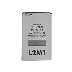 L2m1 batteria per usato  Spedito ovunque in Italia 