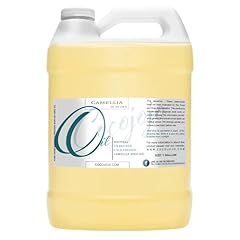 Joe lab camellia for sale  Delivered anywhere in USA 