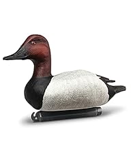 Doa canvasback duck for sale  Delivered anywhere in USA 