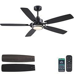 Shihot black ceiling for sale  Delivered anywhere in USA 
