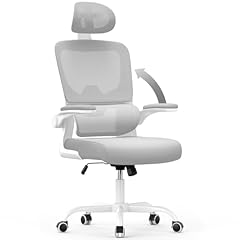 Naspaluro bürostuhl ergonomis gebraucht kaufen  Wird an jeden Ort in Deutschland