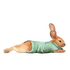 Mps medical pet for sale  Delivered anywhere in UK