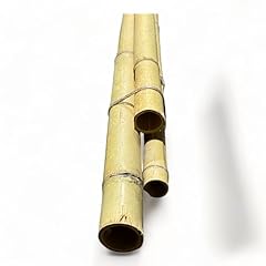 Pack bamboo sticks for sale  Delivered anywhere in USA 
