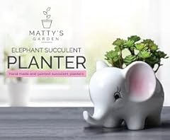 Matty garden pink for sale  Delivered anywhere in USA 