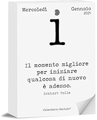 Calendario geniale 2025. usato  Spedito ovunque in Italia 