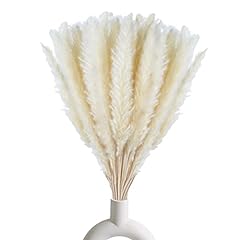 Pcs white pampas for sale  Delivered anywhere in USA 