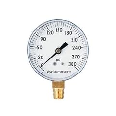 Ashcroft 1005 02l for sale  Delivered anywhere in USA 
