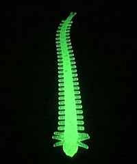 Ragworm glow dark for sale  Delivered anywhere in UK
