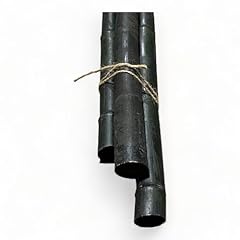 Pack bamboo sticks for sale  Delivered anywhere in USA 