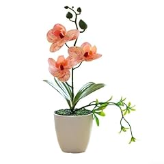 Phalenopsis plant pot for sale  Delivered anywhere in UK