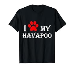 Love havapoo havanese for sale  Delivered anywhere in USA 