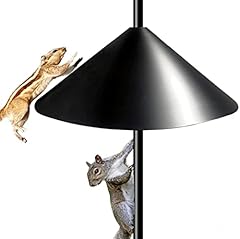 Fandature inch squirrel for sale  Delivered anywhere in USA 