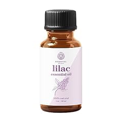 Lilac essential oil for sale  Delivered anywhere in USA 