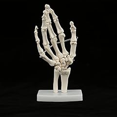 Grandezza naturale anatomica usato  Spedito ovunque in Italia 