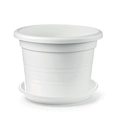 Sicignano vaso cilindro usato  Spedito ovunque in Italia 
