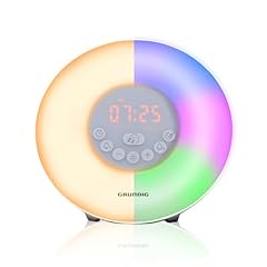 Grundig réveil lumineux d'occasion  Livré partout en France