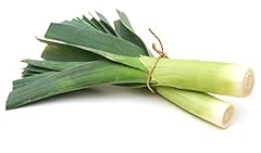 Leek plants jolant for sale  Delivered anywhere in UK