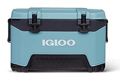 Igloo celadon bmx for sale  Delivered anywhere in USA 