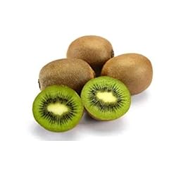 Kiwi vert hayward d'occasion  Livré partout en France